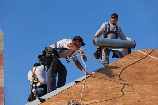 Professional Roofing Contractor in Timber Pines, FL