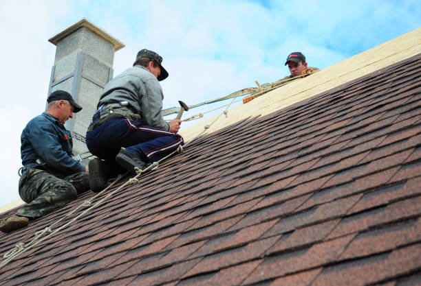 Roof Repair Estimates in Timber Pines, FL